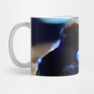 Siamese cat blue eyes / Swiss Artwork Photography Mug